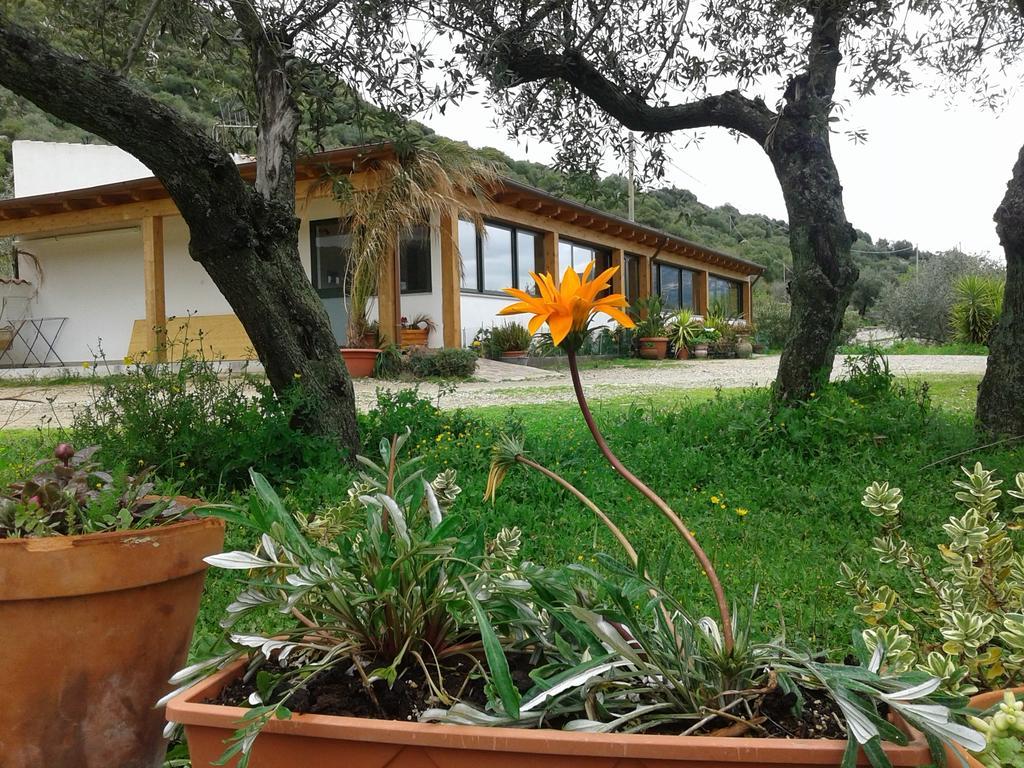 Farm stay Locoe Oliena